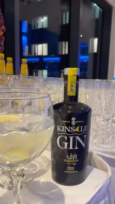 🍸 Congratulations to all the winners at last weekend’s IT @Cork & KerrySciTech Awards 2022. We were delighted to host a Kinsale Gin reception  there and loved meeting everyone, it was a wonderful event!

📍@rochestown_park_hotel 
🍸 Kinsale Irish Premium Gin 
 📸 @emer_o_mahony 

#kinsalegin #cork #reception #awards #congratulations #winners #gnt #irishgin #gnt #irish #ireland